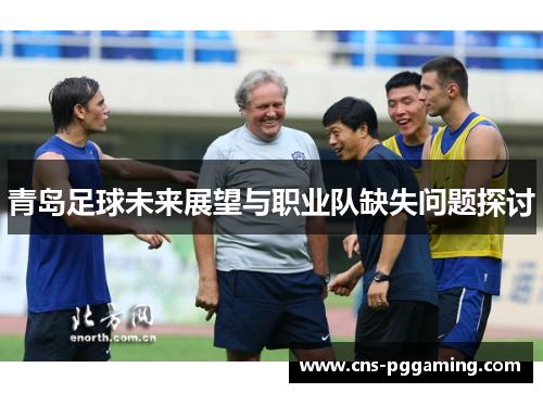 青岛足球未来展望与职业队缺失问题探讨