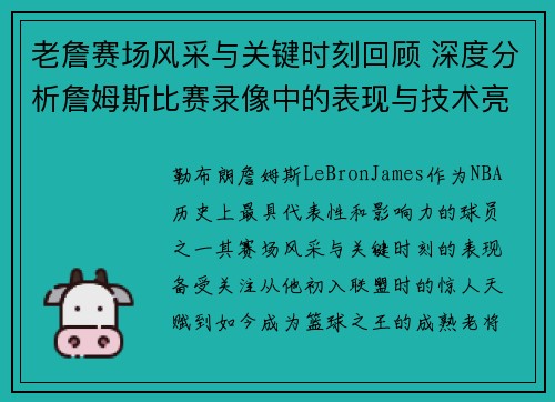 老詹赛场风采与关键时刻回顾 深度分析詹姆斯比赛录像中的表现与技术亮点