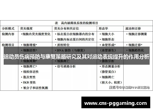 运动员伤病预防与康复策略研究及其对运动表现提升的作用分析